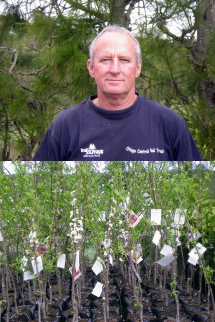 Contact Brent Te Puna Plum Nursery