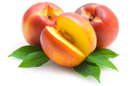 Wholesale Nectarine Trees