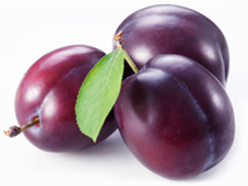 Wholesale Plum Trees